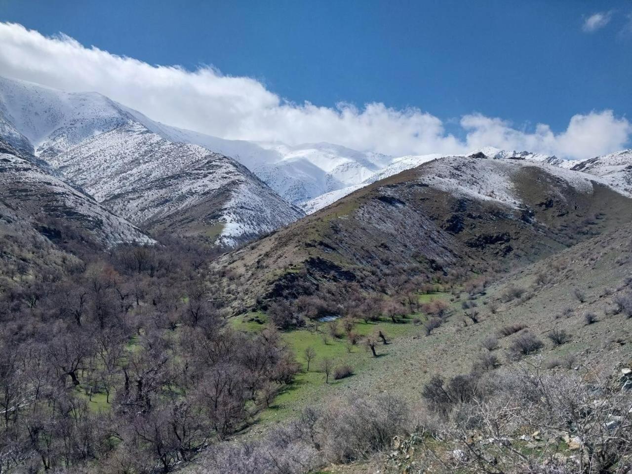 Hayat Guesthouse Nuratau Mountain Yukary-Ukhum Экстерьер фото